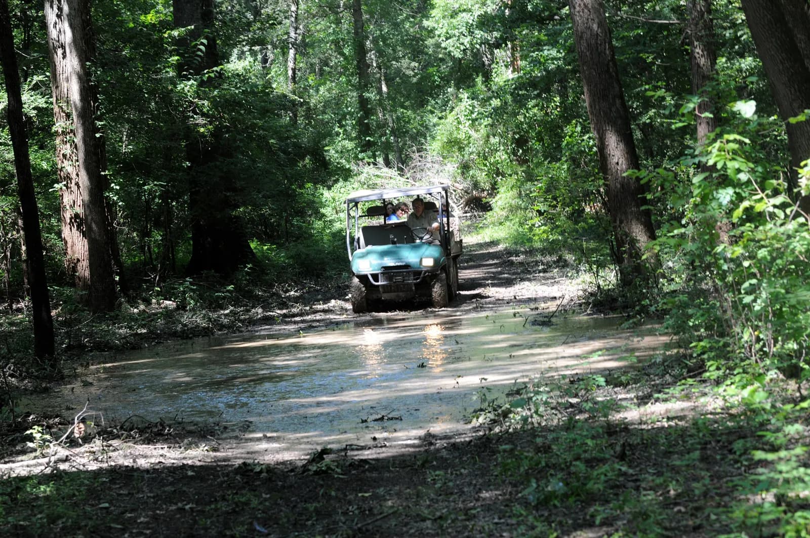 Ozark Hardwood Mud & Trail photo 1