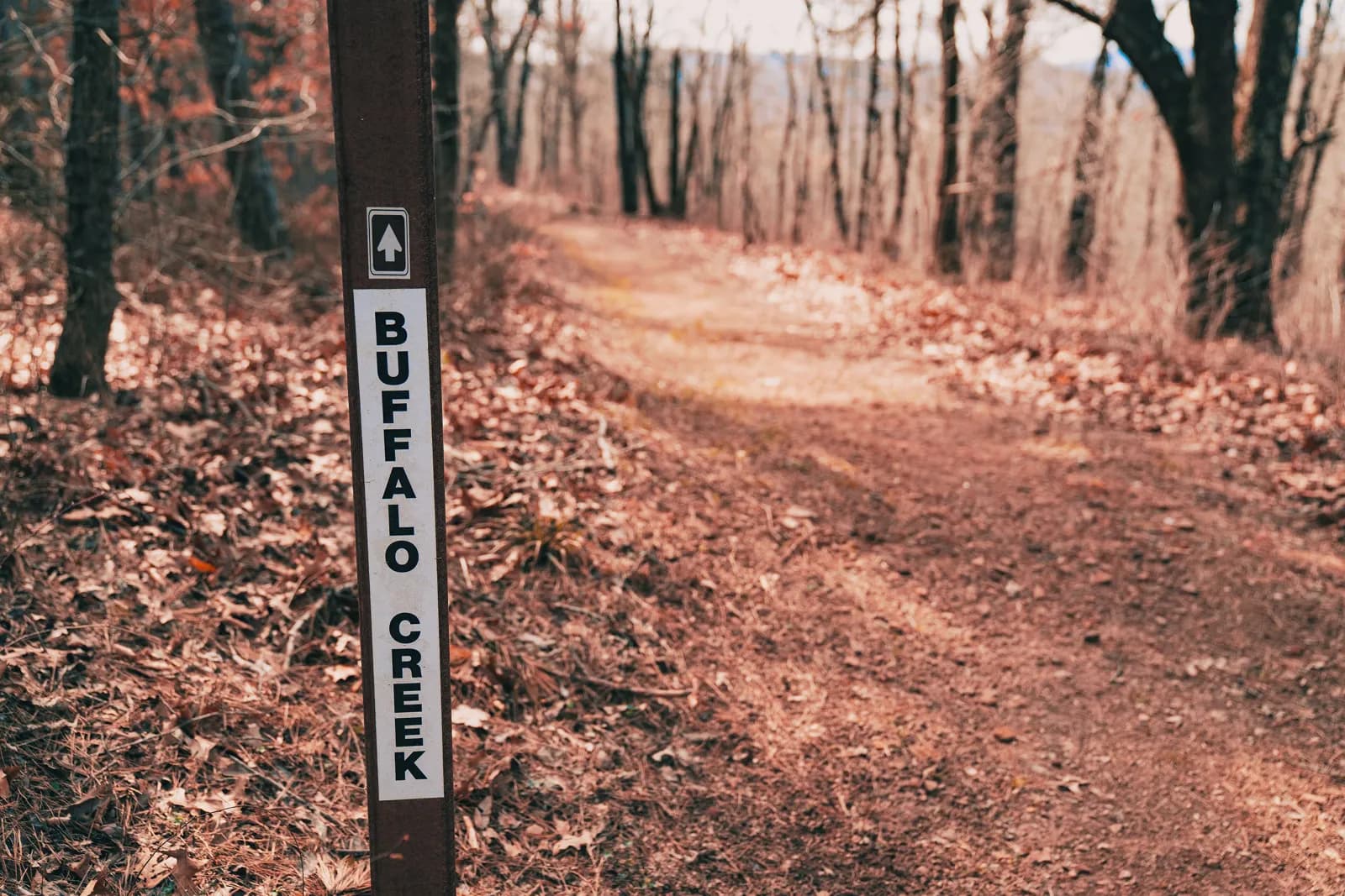 Ozark Hardwood Mud & Trail photo 2