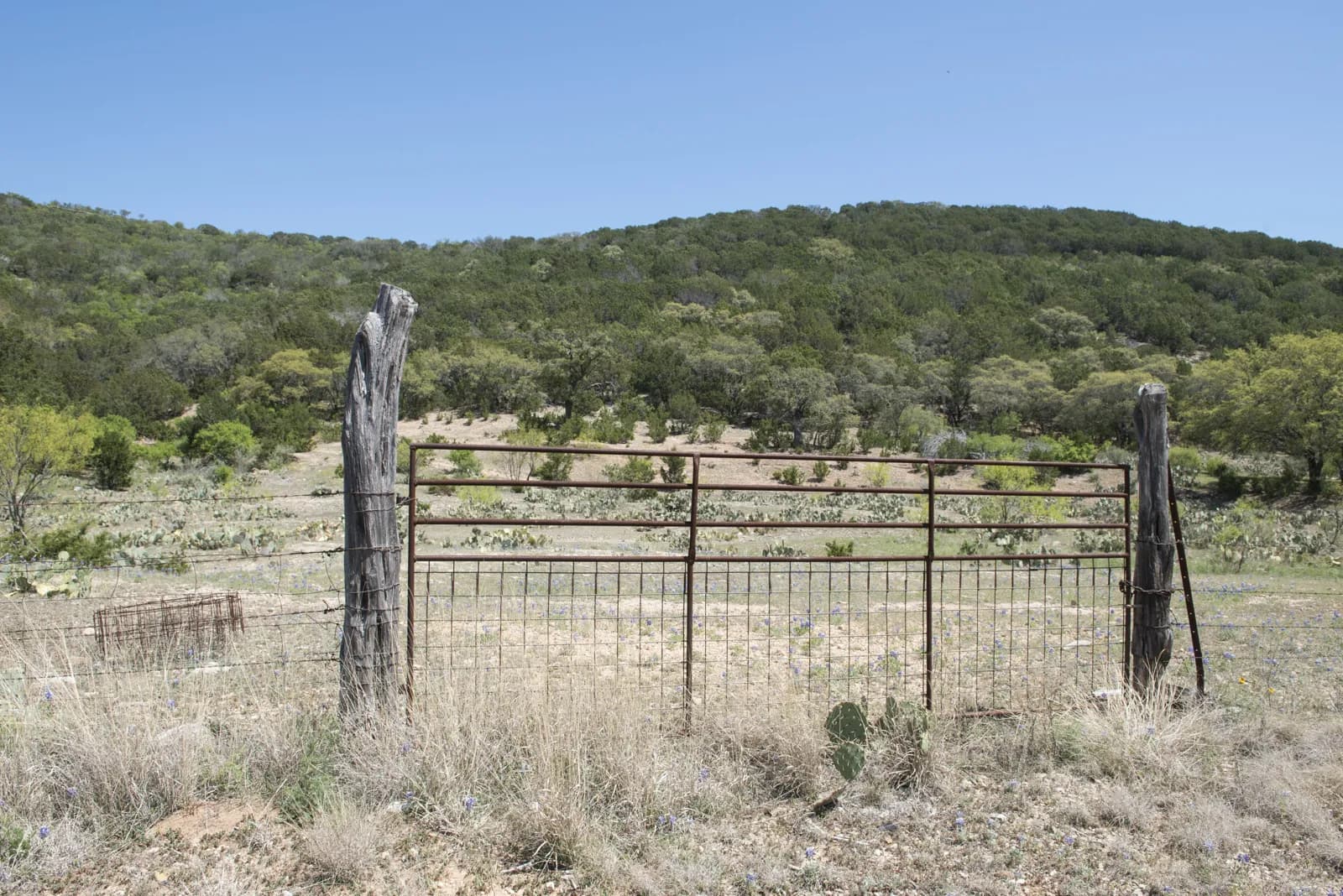 Texas Hill Country Ranch Trails